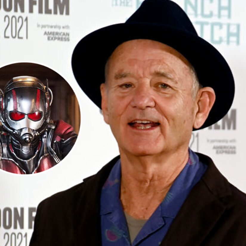 Bill Murray may have just let slip that he's in Ant-Man Movie