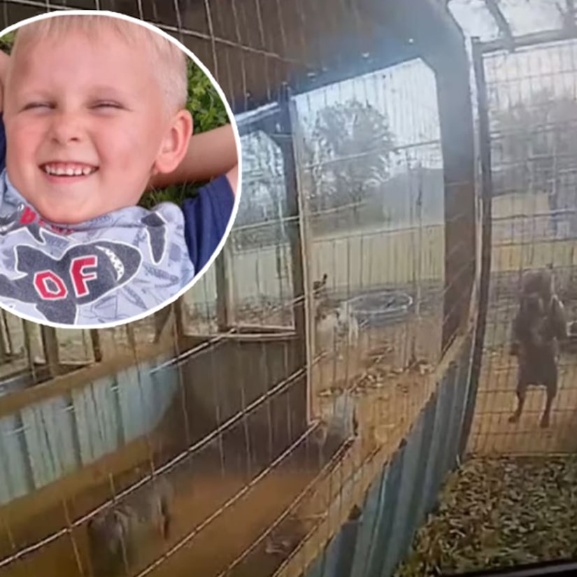 Oklahoma boy aged four has his entire arm torn off after trying to pet a Pit Bull puppy in grandmother's Pit Bull Breeding Pen