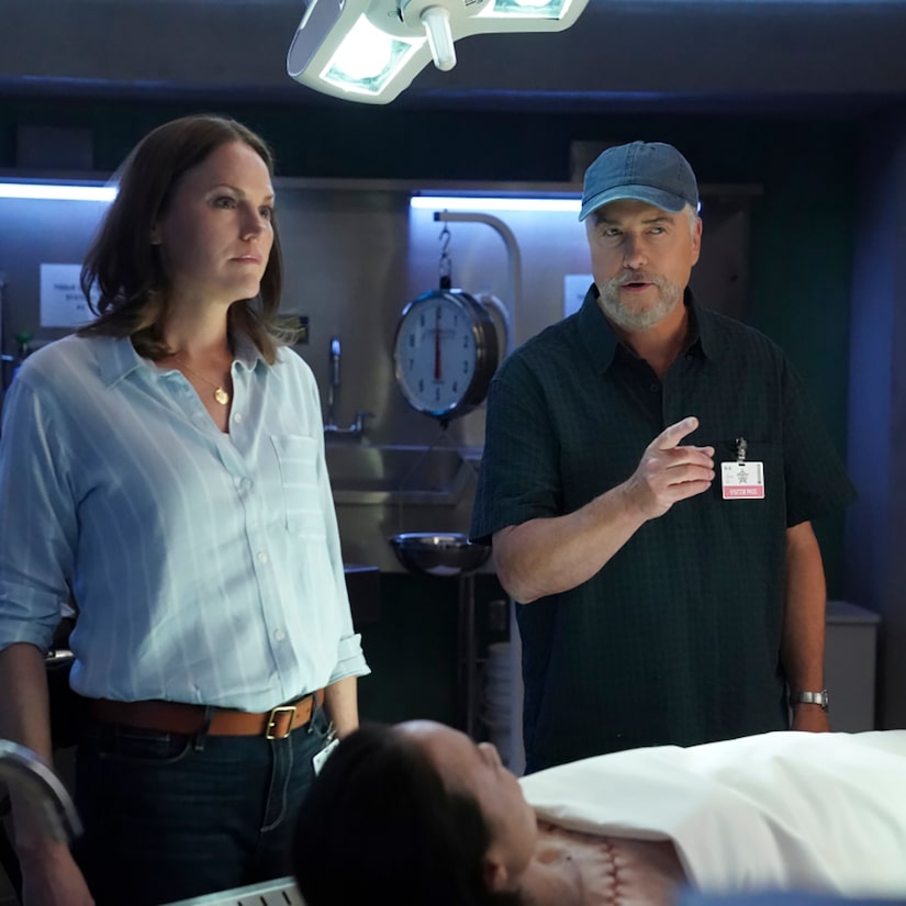 Jorja Fox Leaves CSI: Vegas in Time for the Second Season