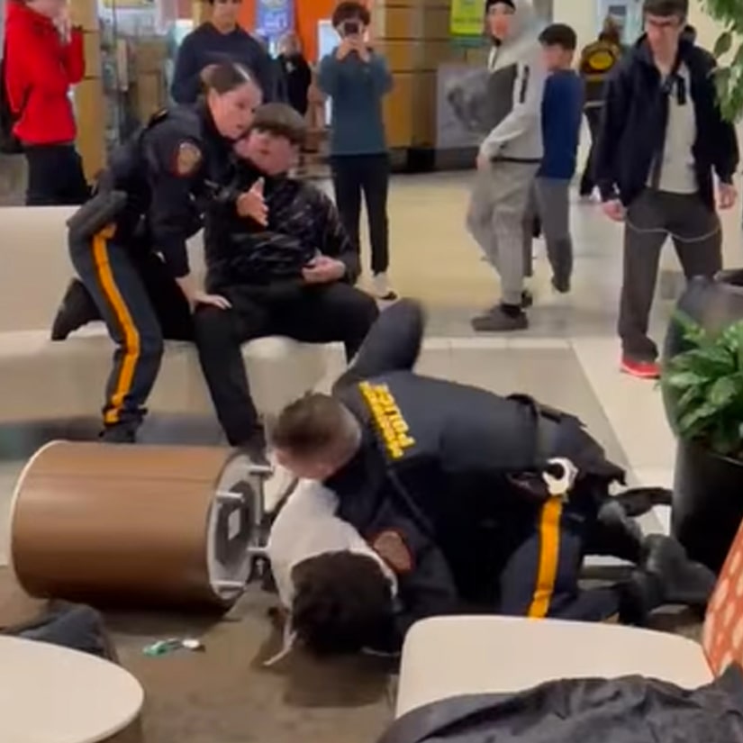 Viral Video: Mall Fight causes Outrage -- Police Repress Black Teens and White Teens VERY Differently