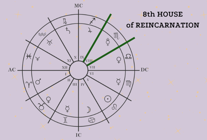 8th House of Reincarnation