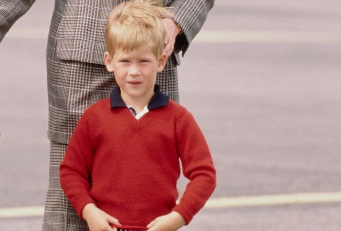 A young boy squints at the camera. He is wearing a red sweater with a navy blue collar