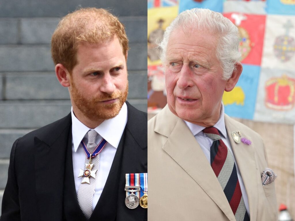 side by side close up photos of Prince Harry and Prince Charles