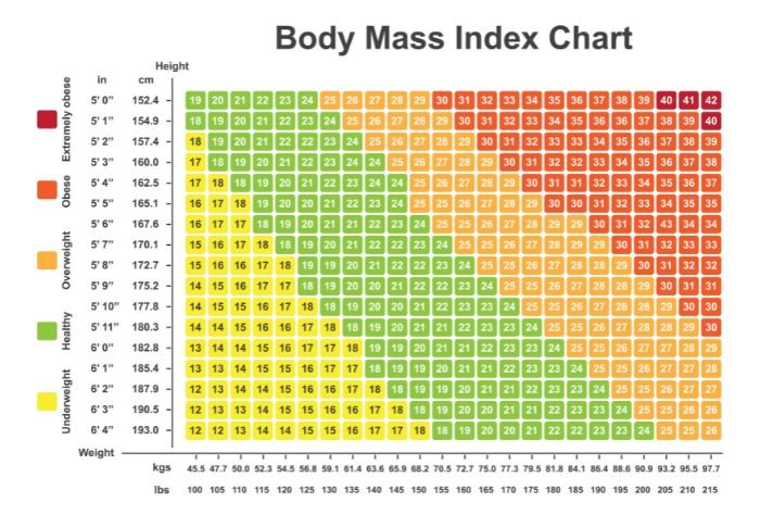 BMI index chart