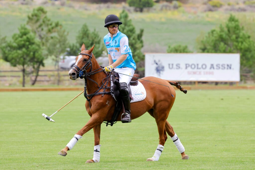 Prince Harry riding on brown horse. Prince Harry is wearing a blue polo shirt and white riding pants