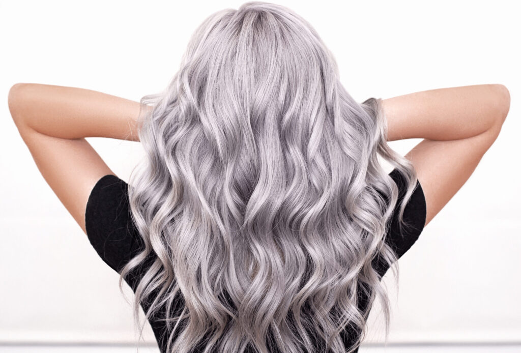 Back of a woman's head showcasing, long, curled silver hair.