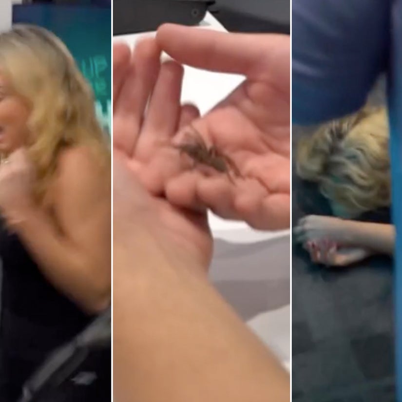 Australian Radio Host Collapses On Air After Facing Fear of Spiders