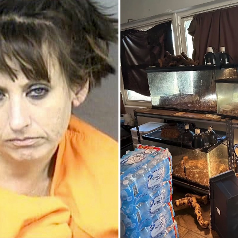 Florida Woman Arrested for Child Neglect, Animal Abuse After Cops Find 300+ Rats In Home