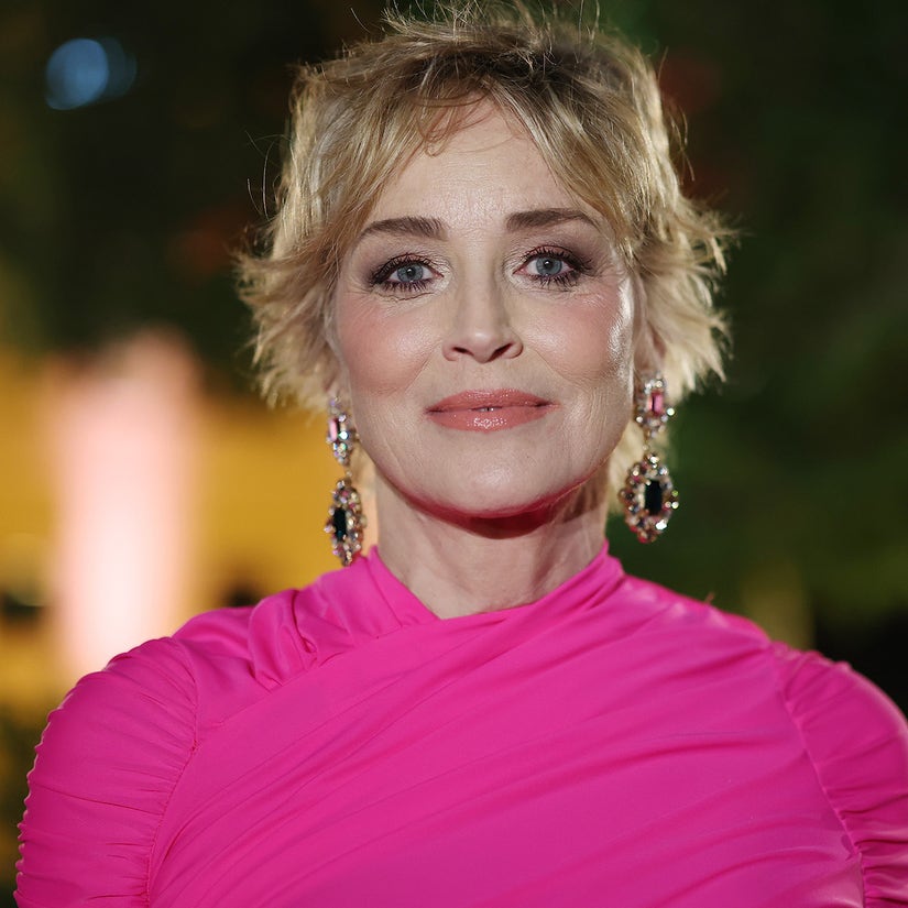 Sharon Stone Was Hospitalized for Heart Issues After Losing Custody of Son