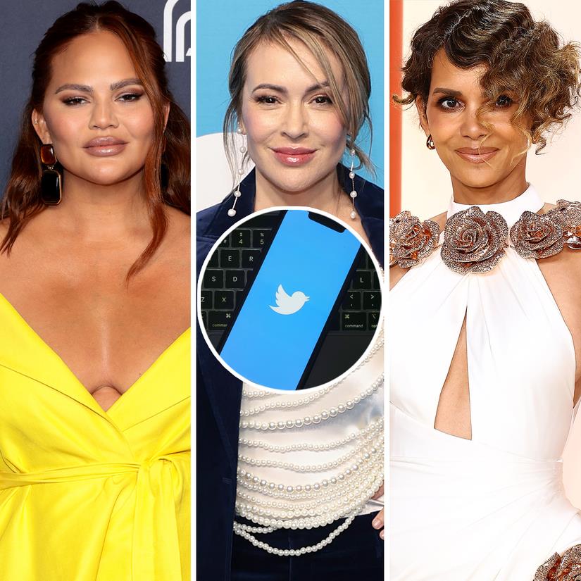 Chrissy Teigen, Alyssa Milano and More Celebs React to Losing Blue Twitter Checkmarks