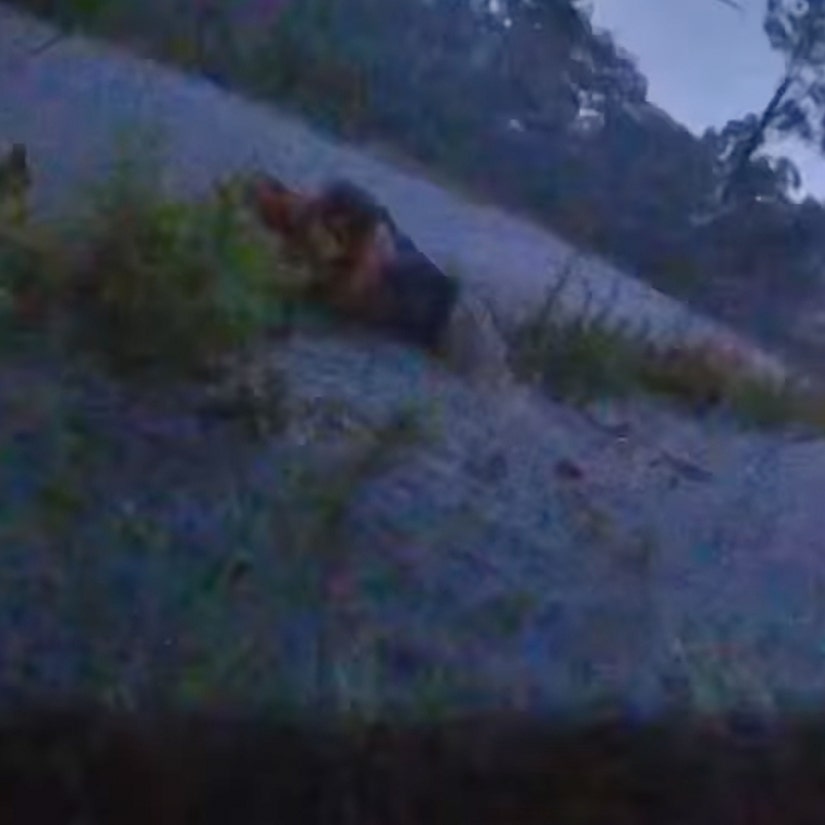 Harrowing Video Shows Deputy Get 'Sucked In the F--king Drain Pipe' During Flood Rescue